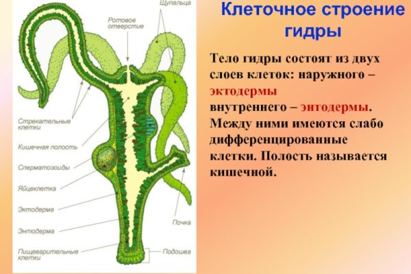 Solaris даркнет